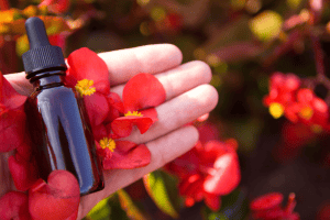 הטבע מרפא – כל מה שצריך לדעת על תמציות באך